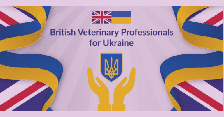 British Veterinary Professionals for Ukraine image