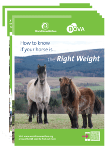 horse right weight