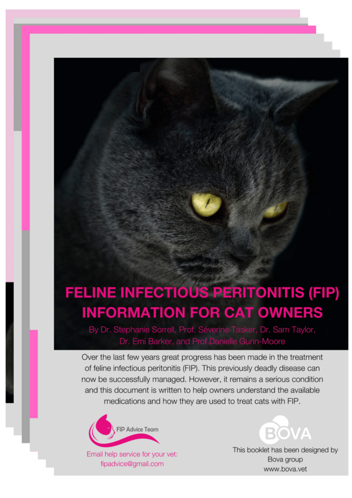 Feline Infectious Peritonitis (FIP) Information for cat owners